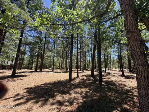 4215 Apache Dr, Happy Jack, AZ 86024 photo 3