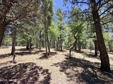 4215 Apache Dr, Happy Jack, AZ 86024 photo 6
