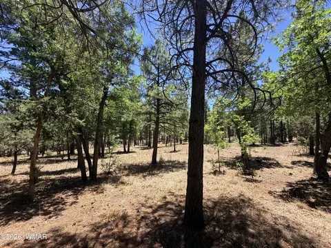 4215 Apache Dr, Happy Jack, AZ 86024 photo 5