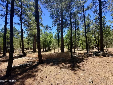 4215 Apache Dr, Happy Jack, AZ 86024 photo 7