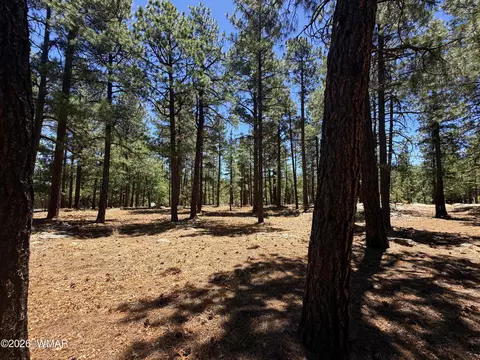 4215 Apache Dr, Happy Jack, AZ 86024 photo 4