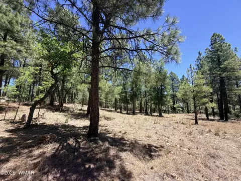 4215 Apache Dr, Happy Jack, AZ 86024 photo 2