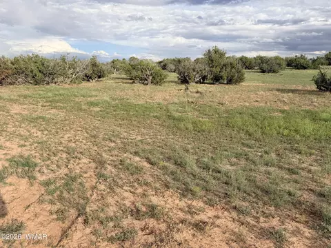 74 N 6311, Saint Johns, AZ 85936 photo 4