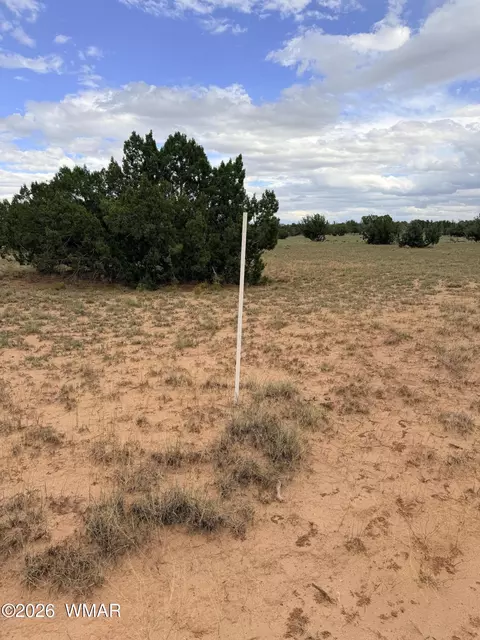 74 N 6311, Saint Johns, AZ 85936 photo 9