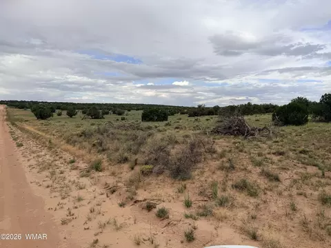 74 N 6311, Saint Johns, AZ 85936 photo 8