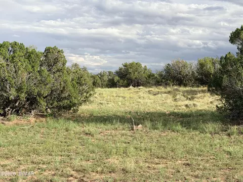 74 N 6311, Saint Johns, AZ 85936 photo 2