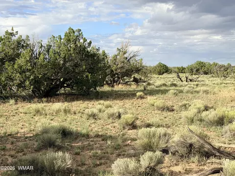 74 N 6311, Saint Johns, AZ 85936 photo 3
