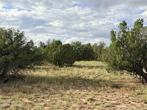 74 N 6311, Saint Johns, AZ 85936 photo 7