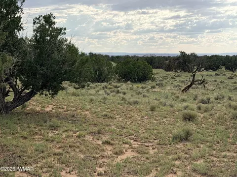 74 N 6311, Saint Johns, AZ 85936 photo 5