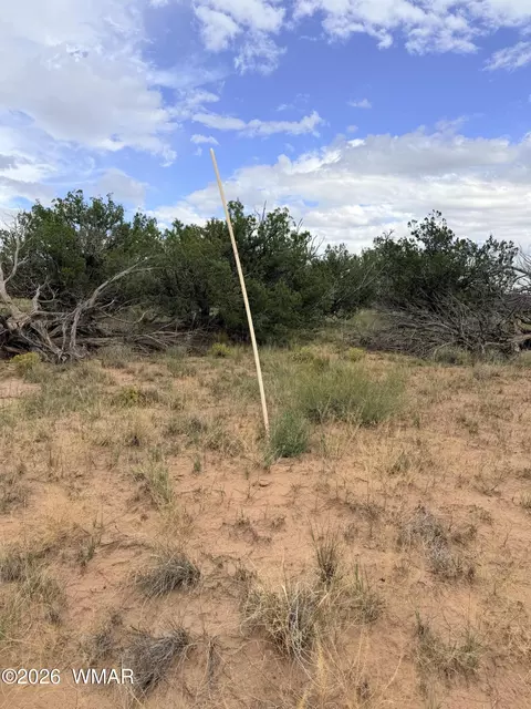 74 N 6311, Saint Johns, AZ 85936 photo 10