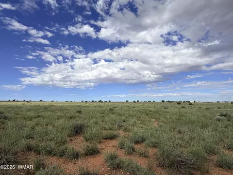8017 Johnson Hill Trl, Snowflake, AZ 85937 photo 6