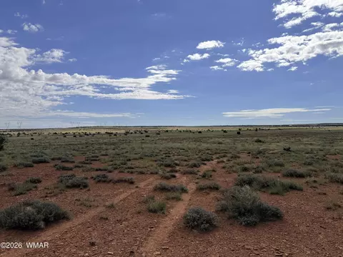 8017 Johnson Hill Trl, Snowflake, AZ 85937 photo 13
