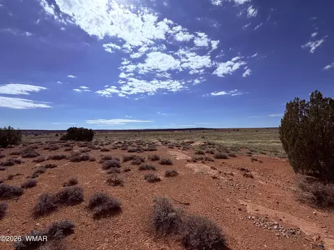 8017 Johnson Hill Trl, Snowflake, AZ 85937 photo 19