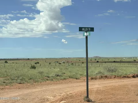 8017 Johnson Hill Trl, Snowflake, AZ 85937 photo 20