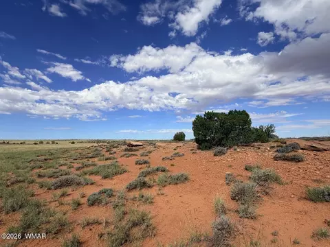 8017 Johnson Hill Trl, Snowflake, AZ 85937 photo 7