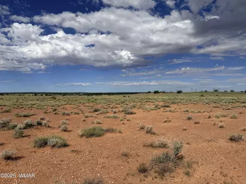 8017 Johnson Hill Trl, Snowflake, AZ 85937 photo 9