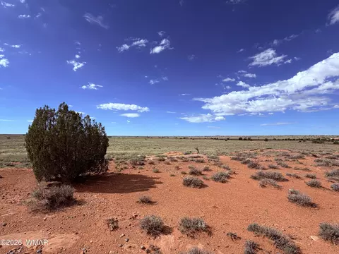 8017 Johnson Hill Trl, Snowflake, AZ 85937 photo 8
