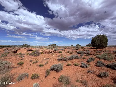 8017 Johnson Hill Trl, Snowflake, AZ 85937 photo 5