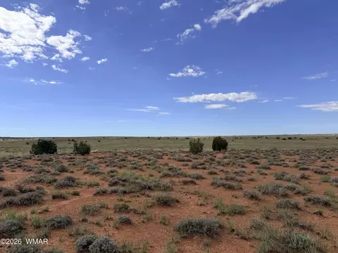 8017 Johnson Hill Trl, Snowflake, AZ 85937 photo 12