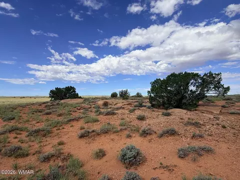 8017 Johnson Hill Trl, Snowflake, AZ 85937 photo 15