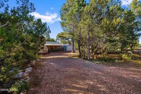 Other - 3380 Turkey Run, Overgaard, AZ 85933 photo 8 of 9