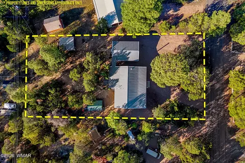 View/Area - 3380 Turkey Run, Overgaard, AZ 85933 photo 3 of 3
