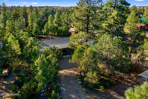 View/Area - 3380 Turkey Run, Overgaard, AZ 85933 photo 2 of 3