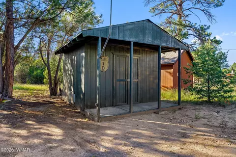Other - 3380 Turkey Run, Overgaard, AZ 85933 photo 4 of 9