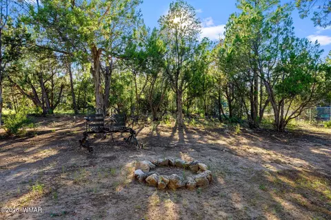Exterior - 3380 Turkey Run, Overgaard, AZ 85933 photo 8 of 8