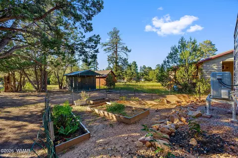 Exterior - 3380 Turkey Run, Overgaard, AZ 85933 photo 6 of 8