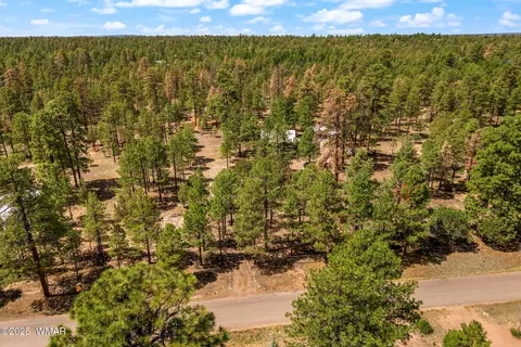 View/Area - 2840 Pine Rim Rd, Overgaard, AZ 85933 photo 1 of 2