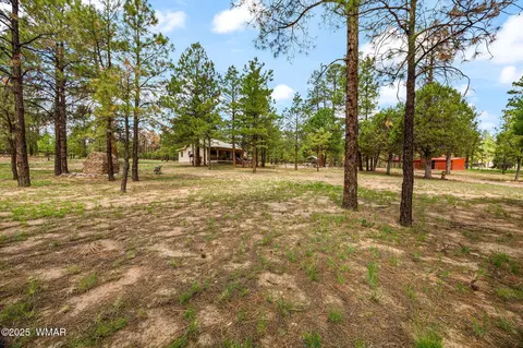 Exterior - 2840 Pine Rim Rd, Overgaard, AZ 85933 photo 13 of 14