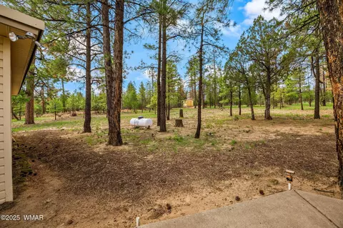 Exterior - 2840 Pine Rim Rd, Overgaard, AZ 85933 photo 8 of 14