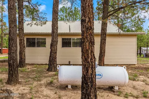 Exterior - 2840 Pine Rim Rd, Overgaard, AZ 85933 photo 9 of 14