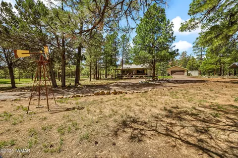 Exterior - 2840 Pine Rim Rd, Overgaard, AZ 85933 photo 12 of 14