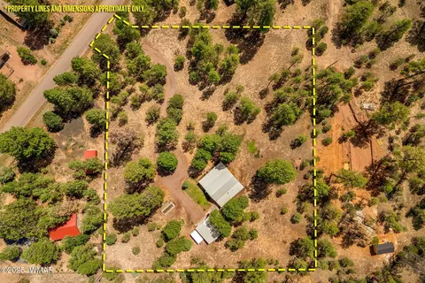 Other - 2840 Pine Rim Rd, Overgaard, AZ 85933 photo 7 of 7
