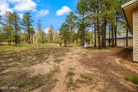 Exterior - 2840 Pine Rim Rd, Overgaard, AZ 85933 photo 11 of 14