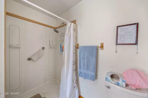 Bath - 2840 Pine Rim Rd, Overgaard, AZ 85933 photo 2 of 4