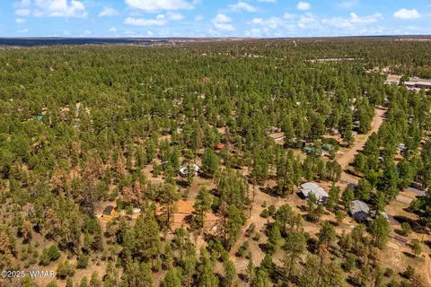 View/Area - 2840 Pine Rim Rd, Overgaard, AZ 85933 photo 2 of 2