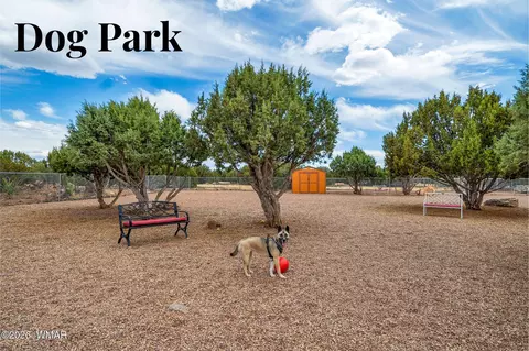 8207 Rainbow Loop, Show Low, AZ 85901 photo 9