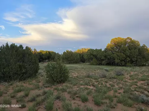 3908 Hidden Ranch Rd, Snowflake, AZ 85937 photo 9