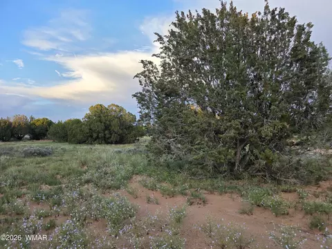 3908 Hidden Ranch Rd, Snowflake, AZ 85937 photo 3