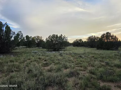 3908 Hidden Ranch Rd, Snowflake, AZ 85937 photo 10