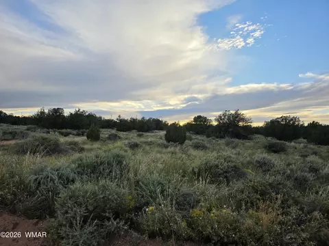 3908 Hidden Ranch Rd, Snowflake, AZ 85937 photo 4