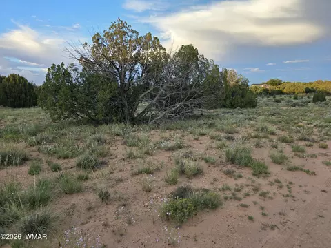 3908 Hidden Ranch Rd, Snowflake, AZ 85937 photo 7