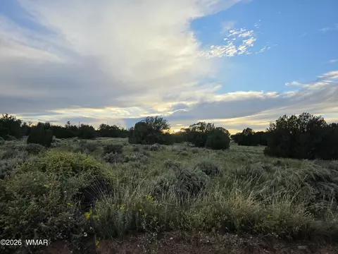 3908 Hidden Ranch Rd, Snowflake, AZ 85937 photo 5