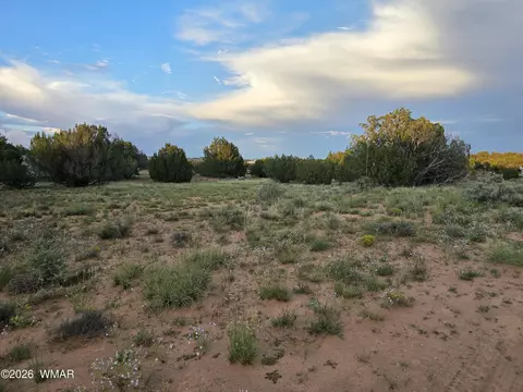 3908 Hidden Ranch Rd, Snowflake, AZ 85937 photo 8