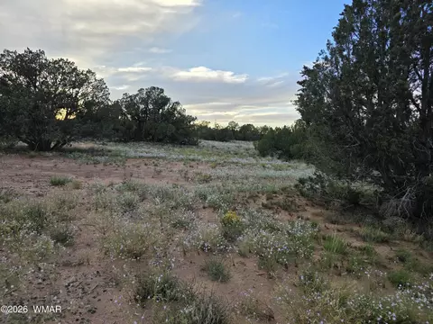 3908 Hidden Ranch Rd, Snowflake, AZ 85937 photo 2