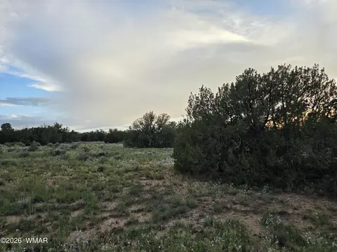 3908 Hidden Ranch Rd, Snowflake, AZ 85937 photo 12