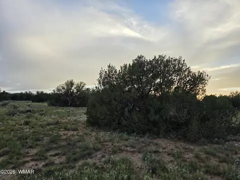 3908 Hidden Ranch Rd, Snowflake, AZ 85937 photo 11